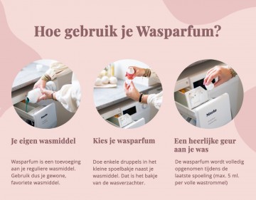 Le essenze di elda wasparfum petali di rosa