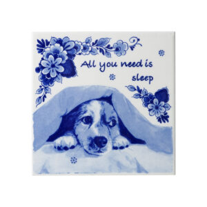 HEINEN DELFTSBLAUW | Tegel all you need