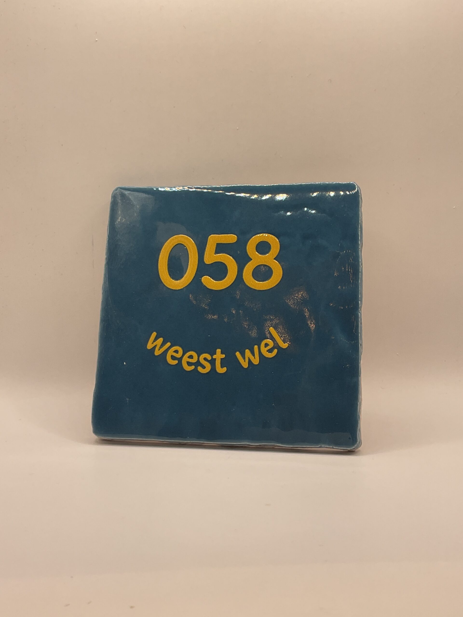 TEGELTJE | 058 Weest wel Blauw